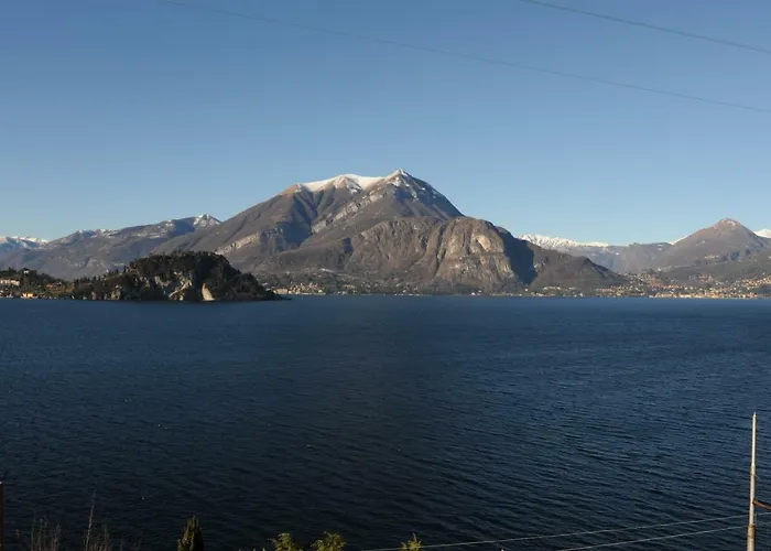 New View 11 *